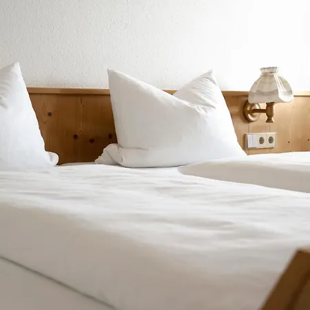 宾馆 乡村宾馆 *